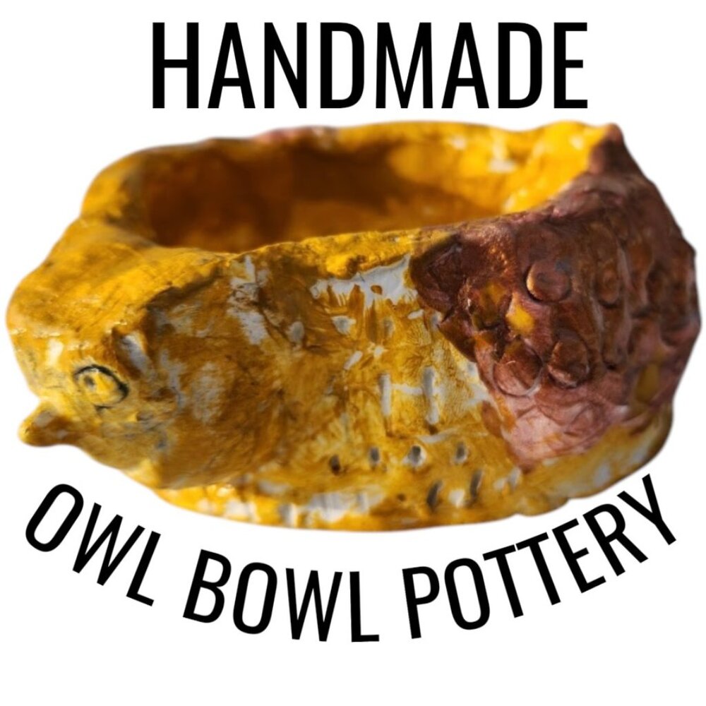 Handmade Hand-Built Pottery Clay Bowl Owl Dish Decor Folk Art Platter Jewelry Ho